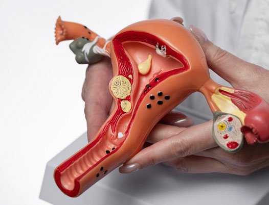 Top Gynecologist in South Kolkata, Infertility Treatment Specialist and Gynecologist in Kolkata