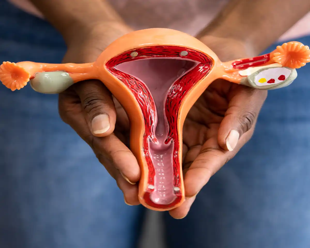 Infertility Treatment Specialist and Gynecologist in Kolkata